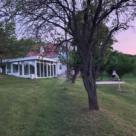 Honey Hill Apartment Fruska Gora Cerevic Εξωτερικό φωτογραφία