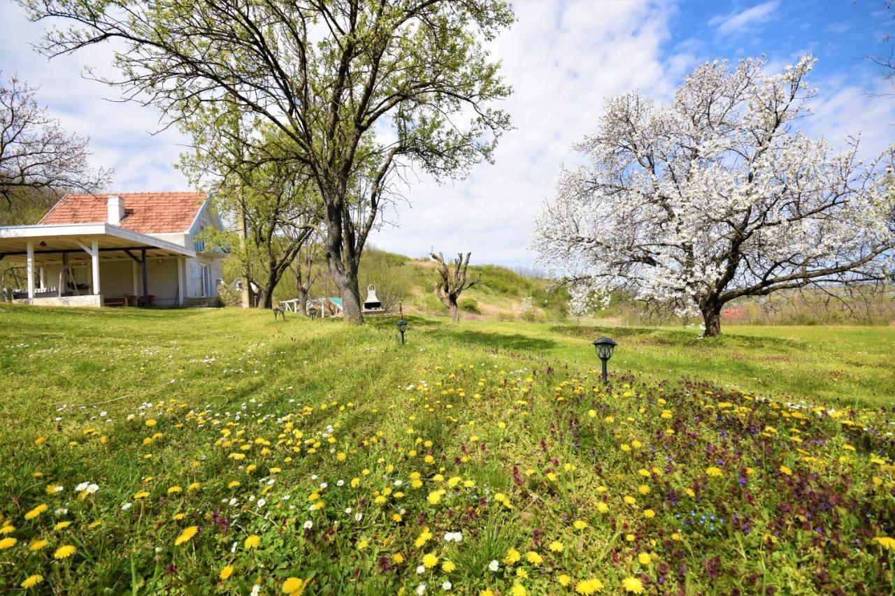 Honey Hill Apartment Fruska Gora Cerevic Εξωτερικό φωτογραφία