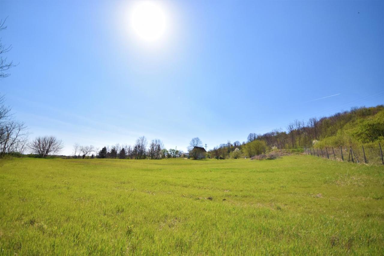 Honey Hill Apartment Fruska Gora Cerevic Εξωτερικό φωτογραφία