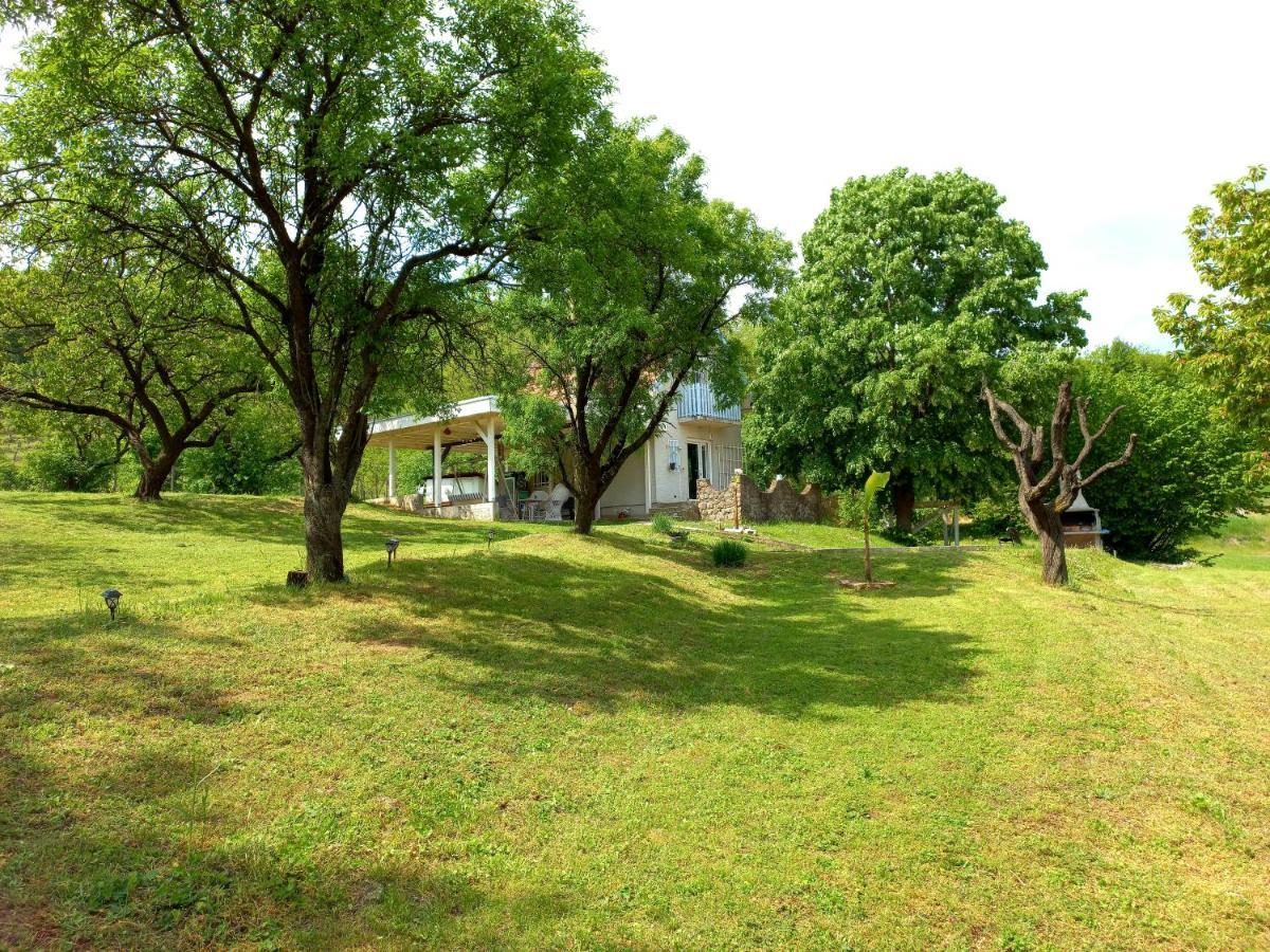 Honey Hill Apartment Fruska Gora Cerevic Εξωτερικό φωτογραφία