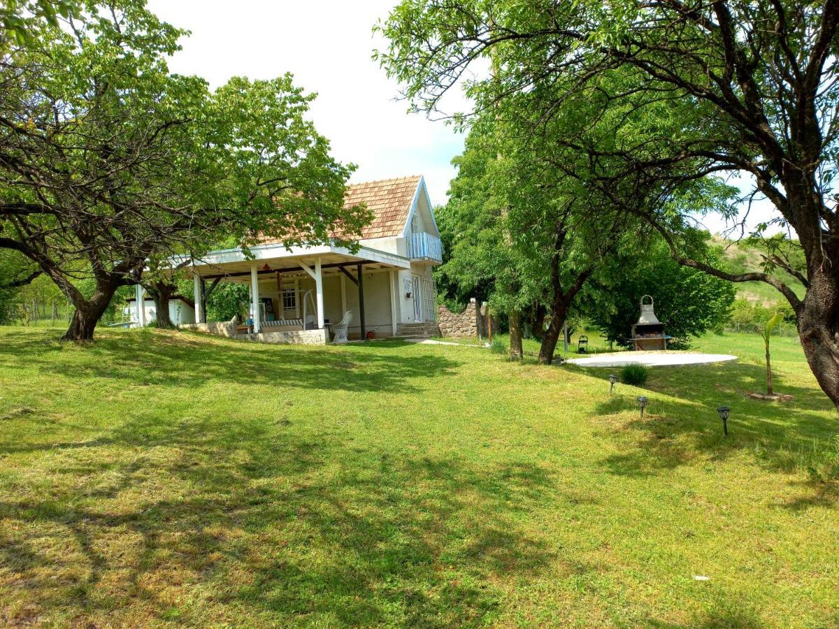 Honey Hill Apartment Fruska Gora Cerevic Εξωτερικό φωτογραφία