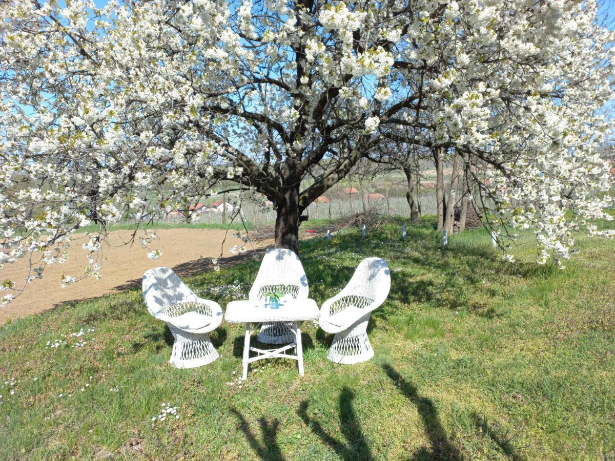 Honey Hill Apartment Fruska Gora Cerevic Εξωτερικό φωτογραφία