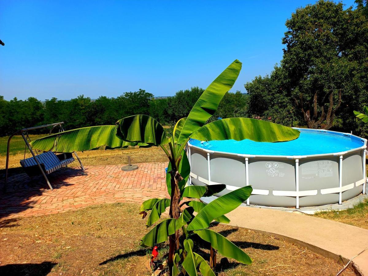 Honey Hill Apartment Fruska Gora Cerevic Εξωτερικό φωτογραφία