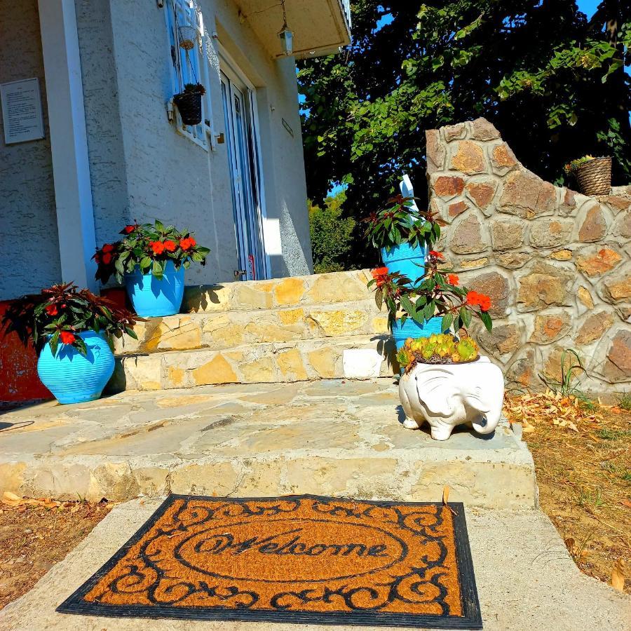 Honey Hill Apartment Fruska Gora Cerevic Εξωτερικό φωτογραφία
