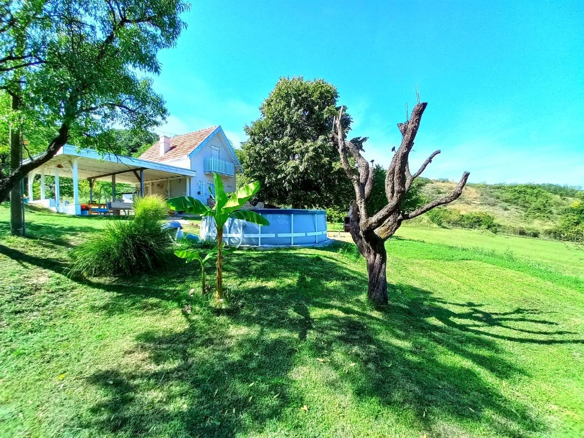Honey Hill Apartment Fruska Gora Cerevic Εξωτερικό φωτογραφία