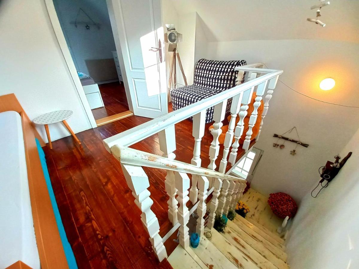 Honey Hill Apartment Fruska Gora Cerevic Εξωτερικό φωτογραφία