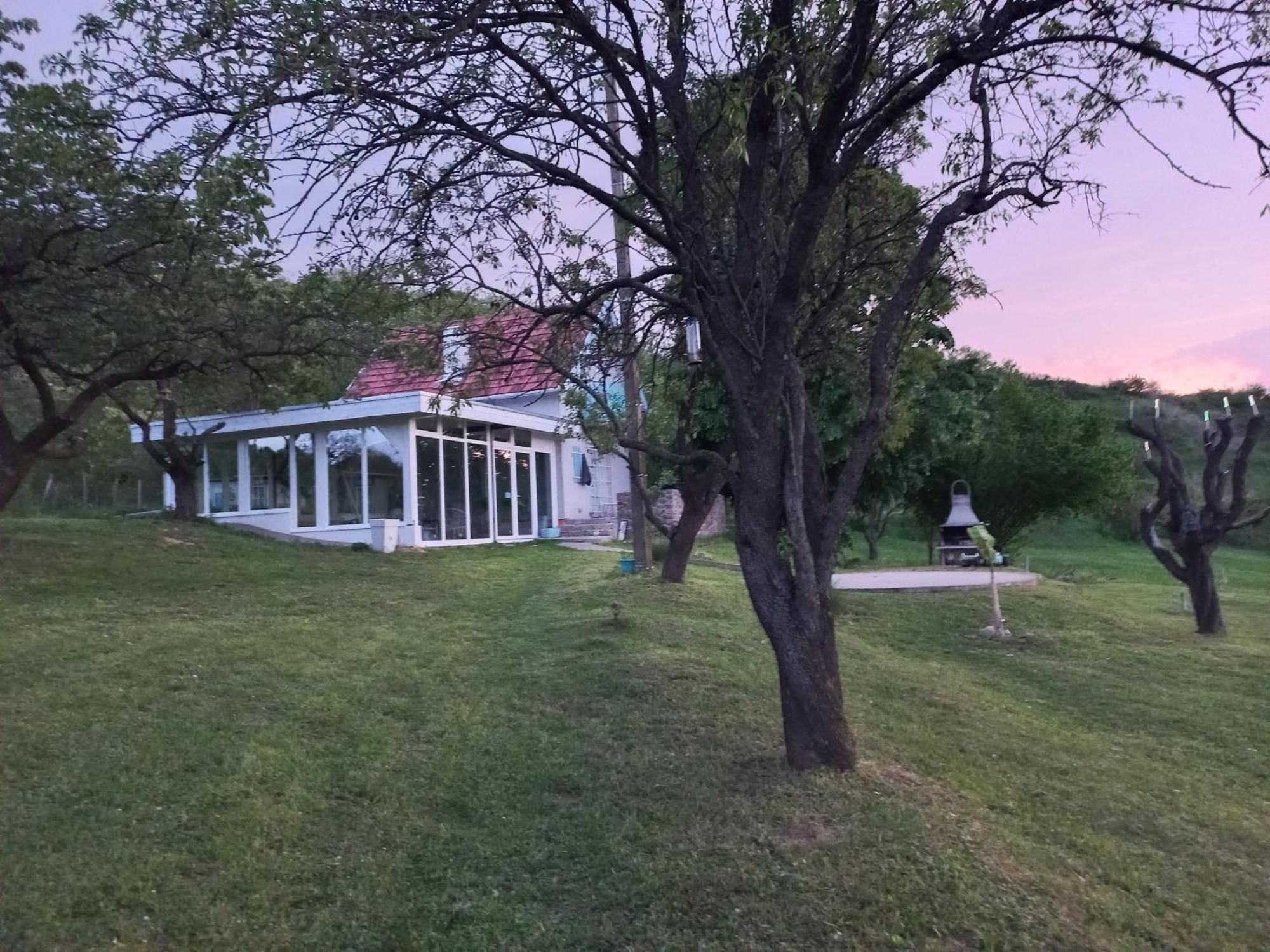 Honey Hill Apartment Fruska Gora Cerevic Εξωτερικό φωτογραφία