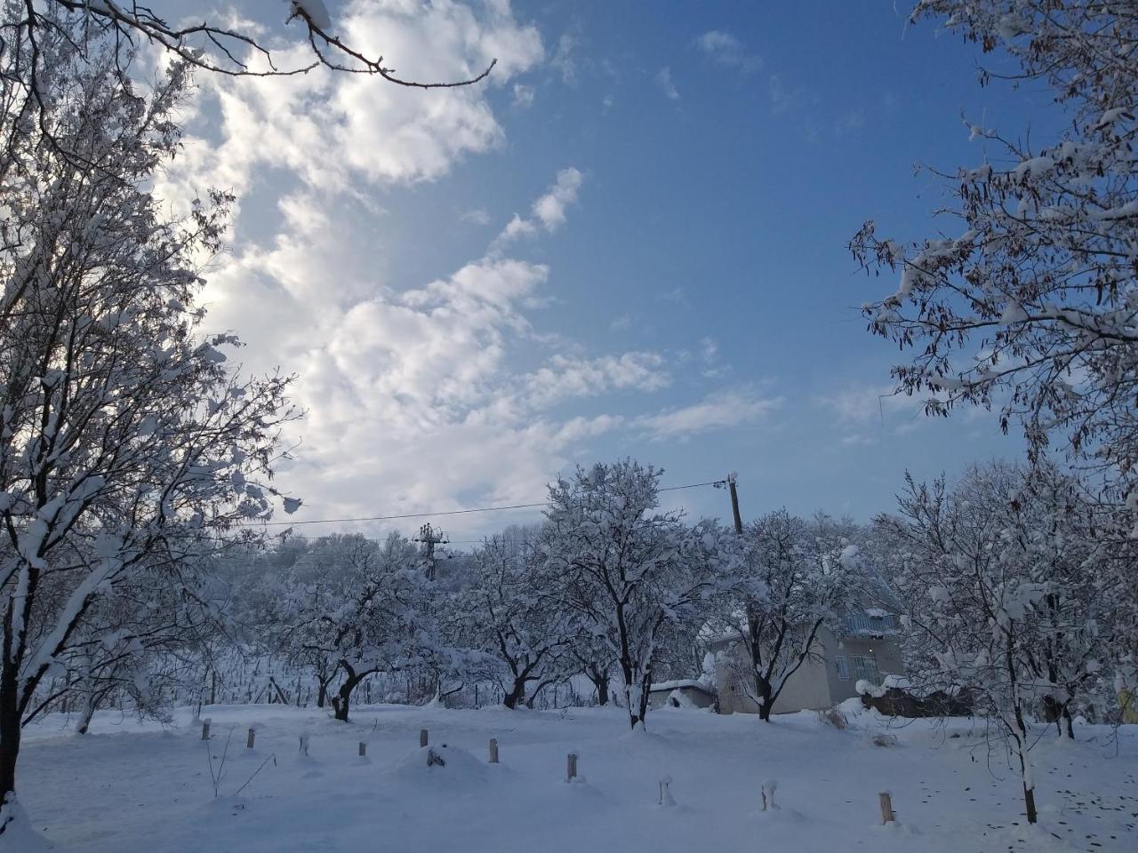 Honey Hill Apartment Fruska Gora Cerevic Εξωτερικό φωτογραφία